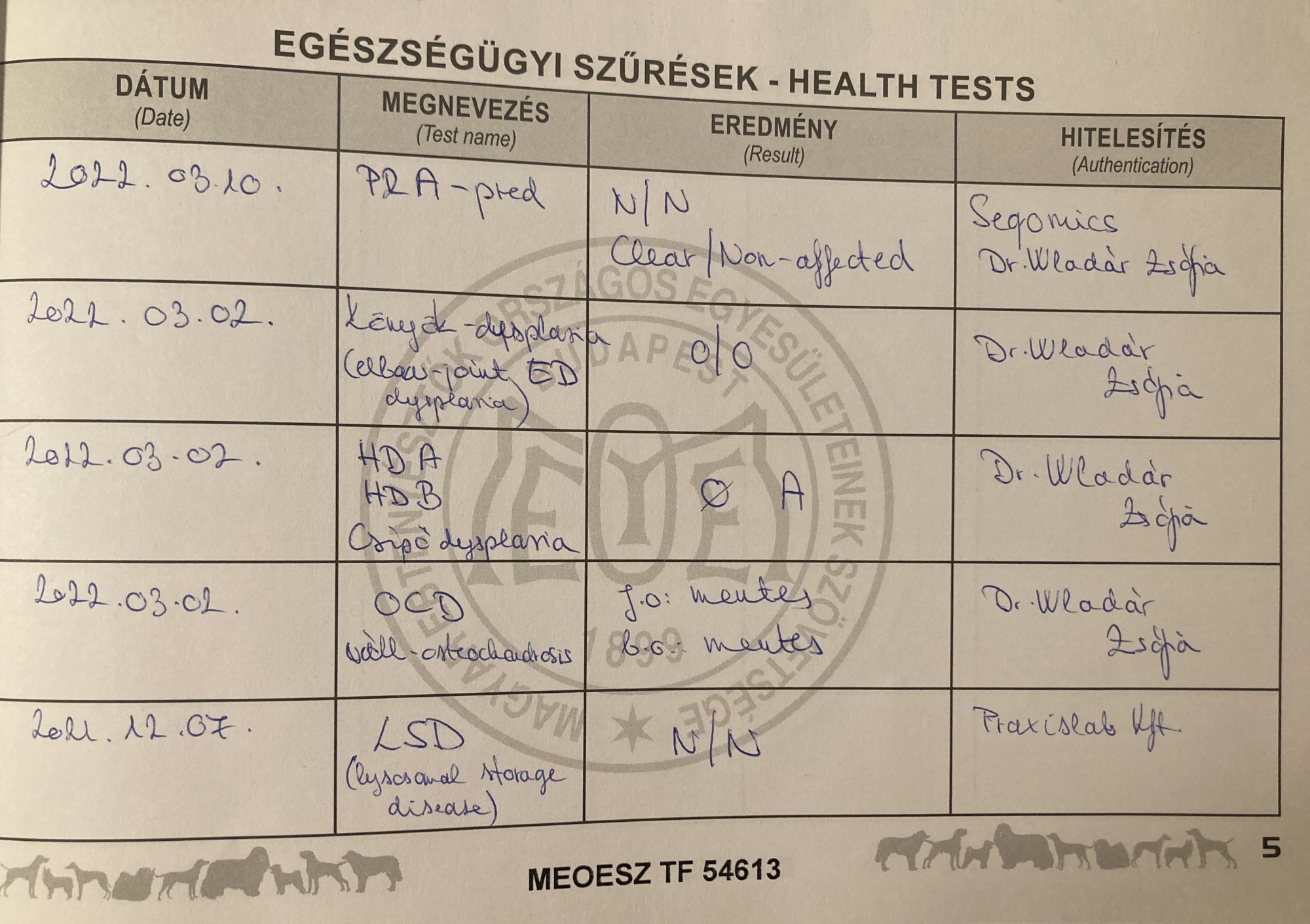 Rio egészségügyi könyve naprakészen vizsgálatokkal és oltásokkal